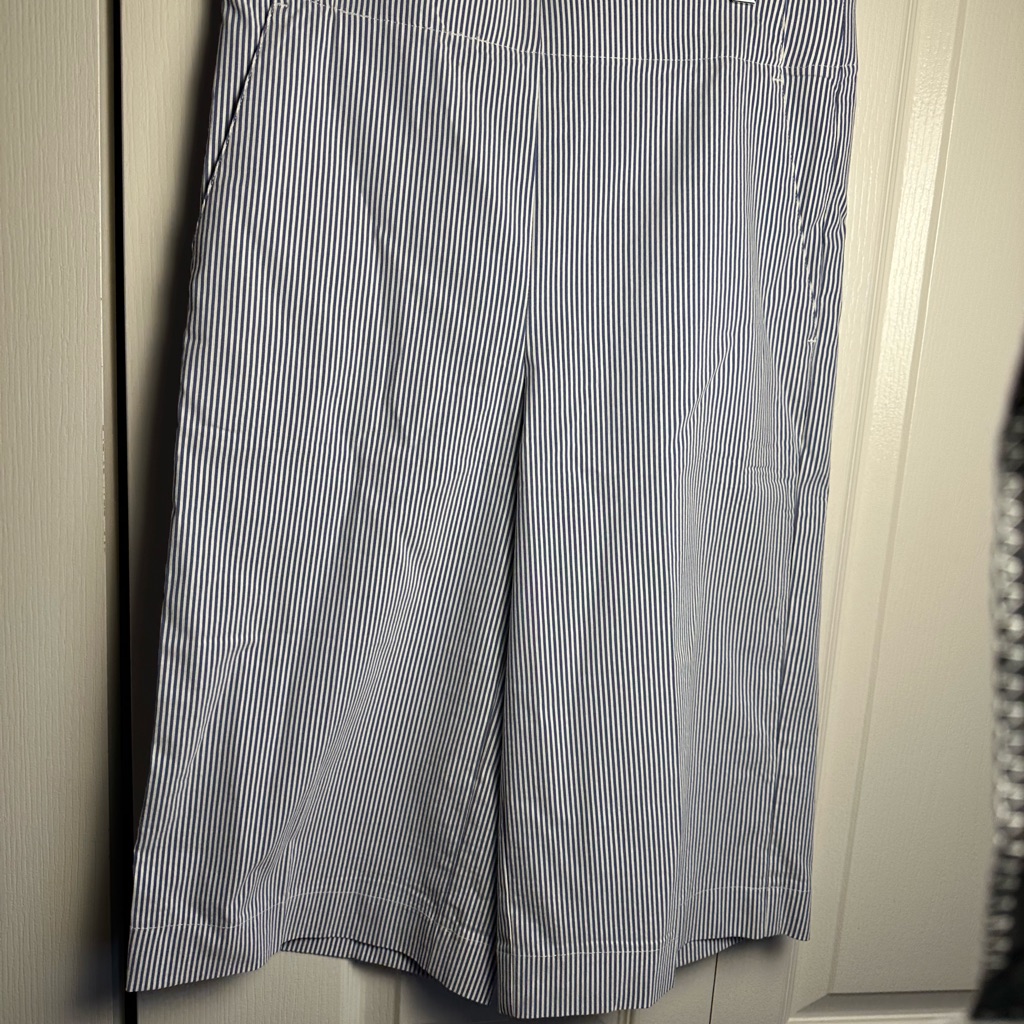 Counterparts Blue And White Striped Capris